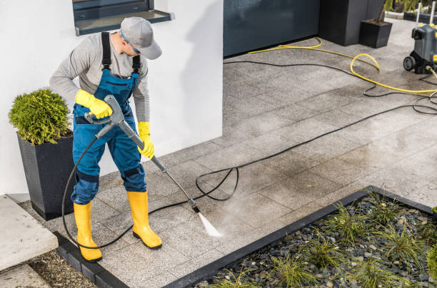 Best Pressure Washing Company Near Me  in Tarrant, AL