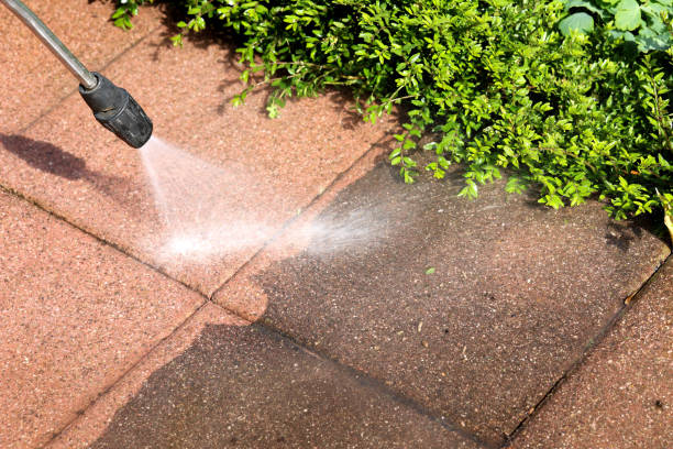 Best Affordable Pressure Washing  in Tarrant, AL